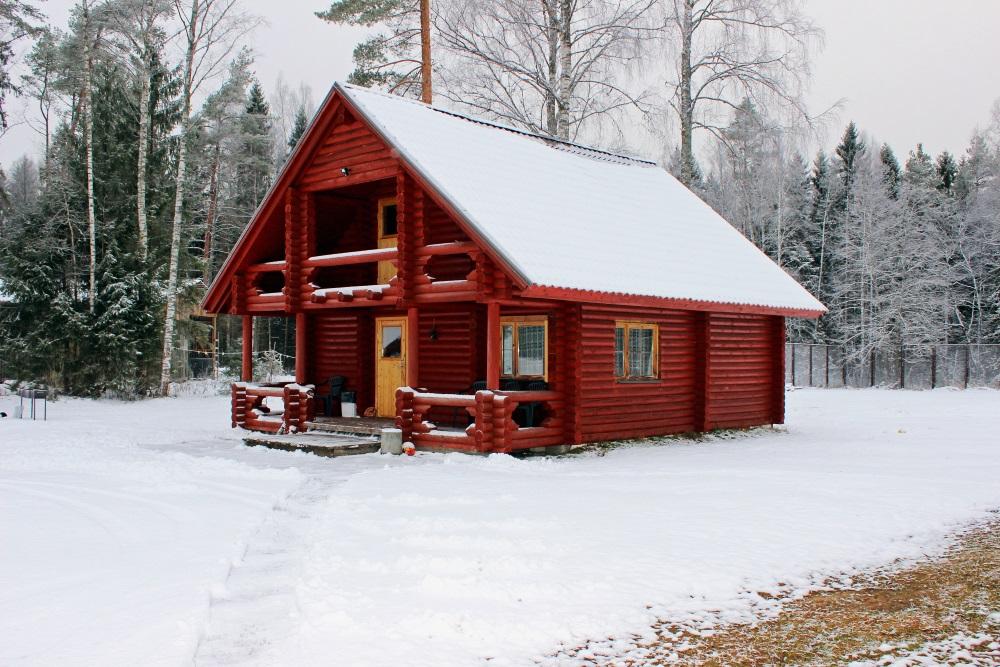 Viikingite küla linnuselahing